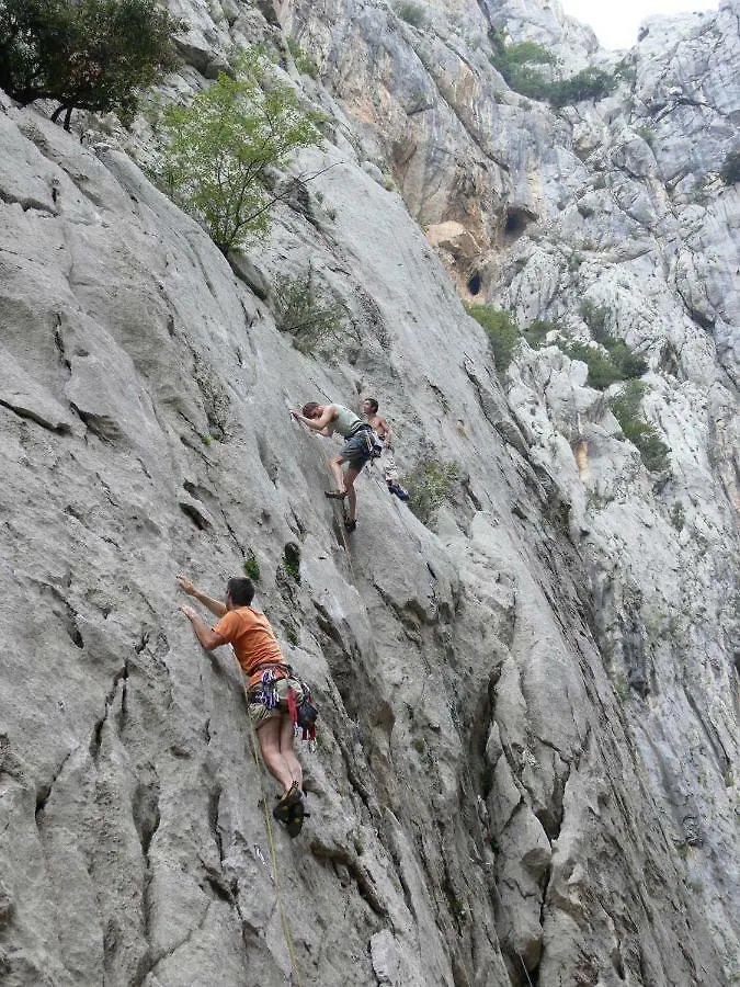Jeli Apartments Starigrad Paklenica